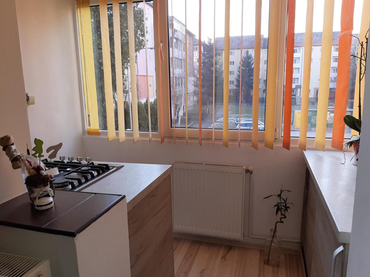 Sepsi 4You Apartment Sfântu-Gheorghe Exterior foto